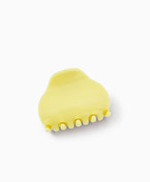 Farbe Cédrat (ausgewählt)