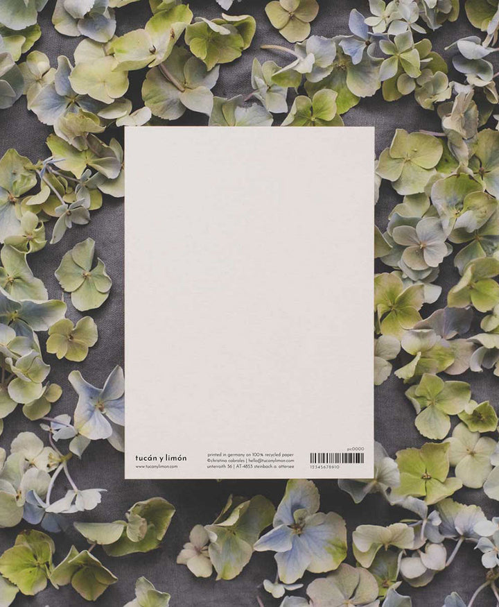 Postkarte "Storch"